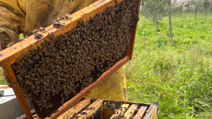 L’Oasi della Biodiversità del Gruppo Cassa Centrale - immagine 11