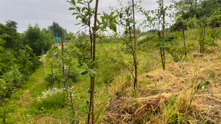 L’Oasi della Biodiversità del Gruppo Cassa Centrale - immagine 9