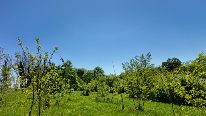 L’Oasi della Biodiversità del Gruppo Cassa Centrale - immagine 8