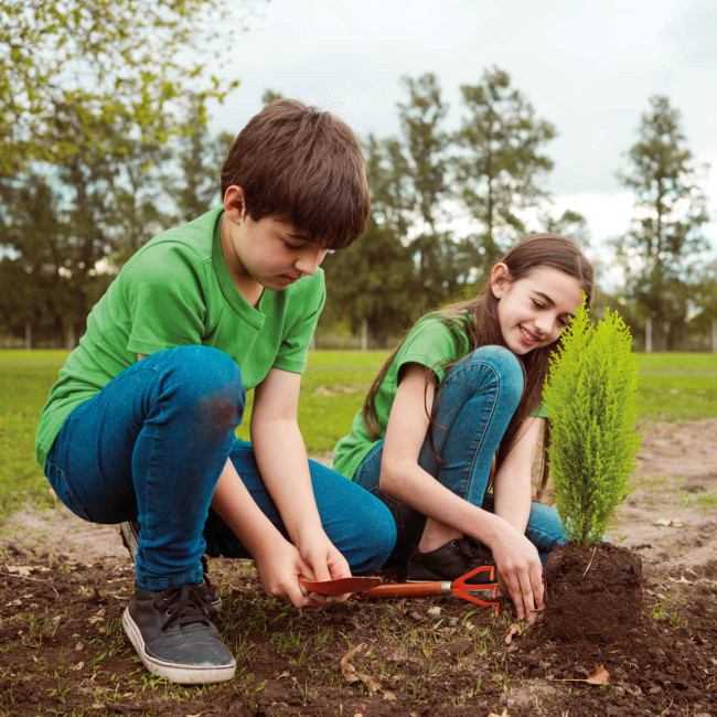 Bambini che piantano degli alberi