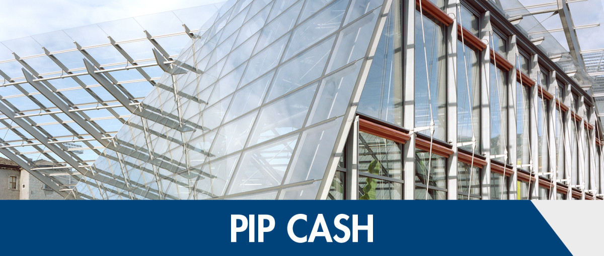 Pip Cash. Remunerate your liquidity